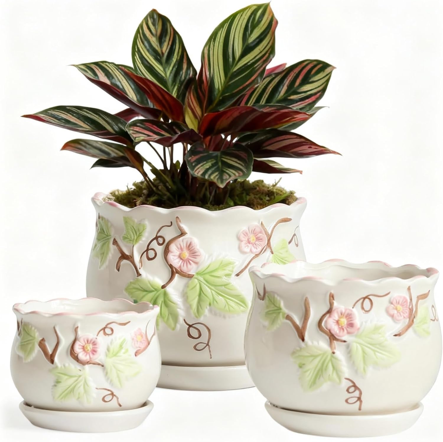 Flower Pots for Indoor