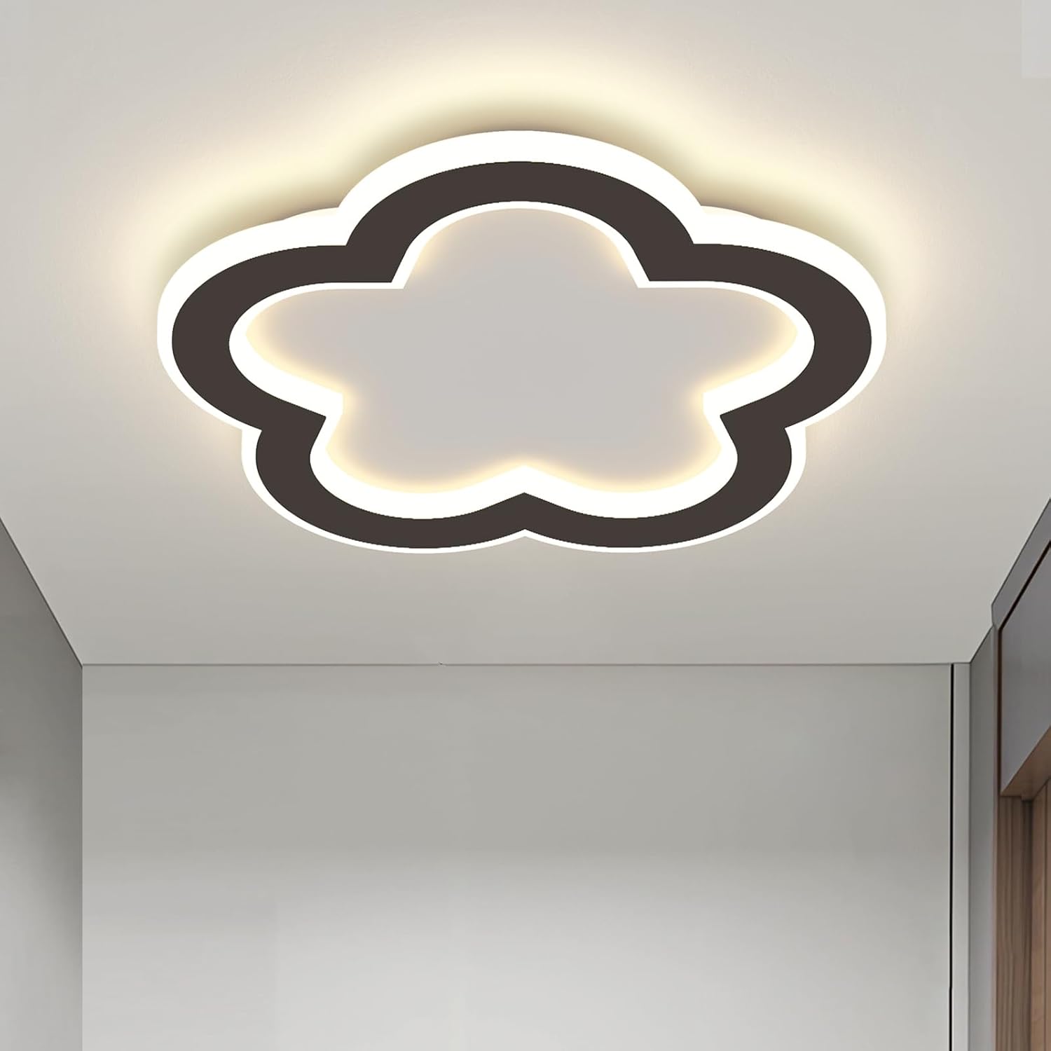 LED Ceiling Light