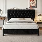 Upholstered Platform Bed